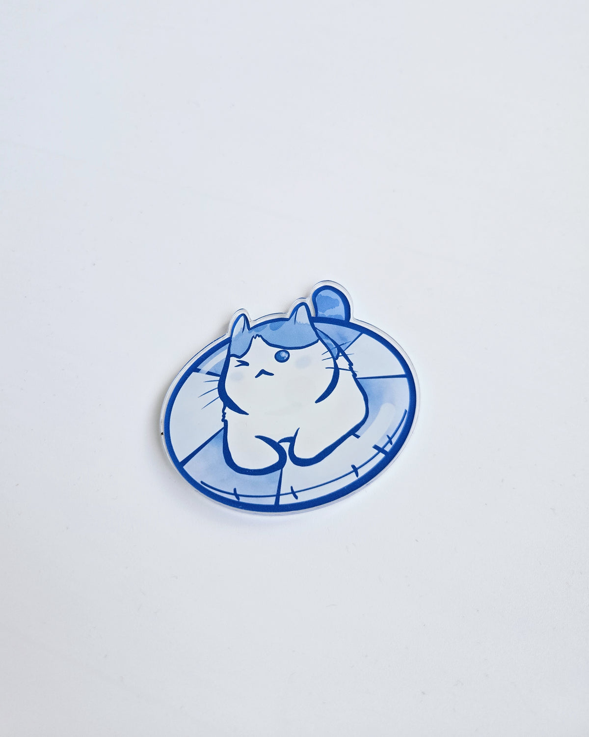 Swim Magnet