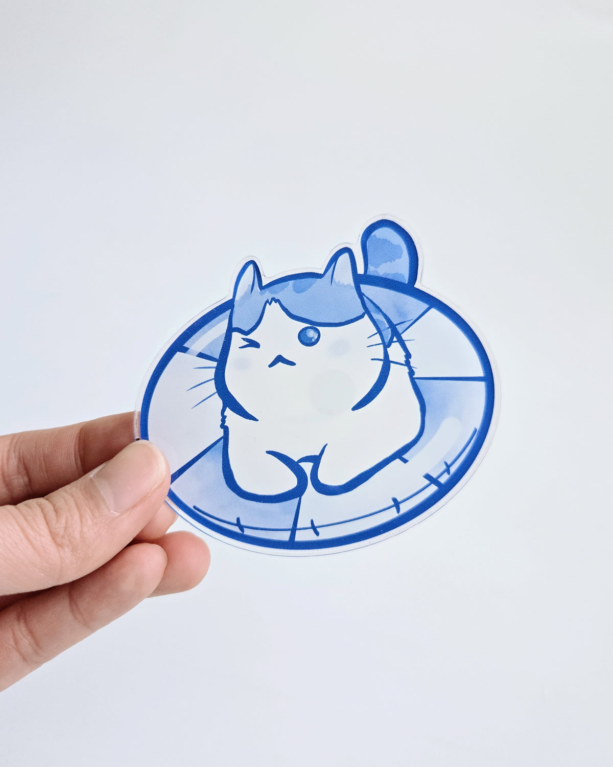 Swim Magnet