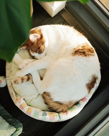 Sleeping Cat Sticker