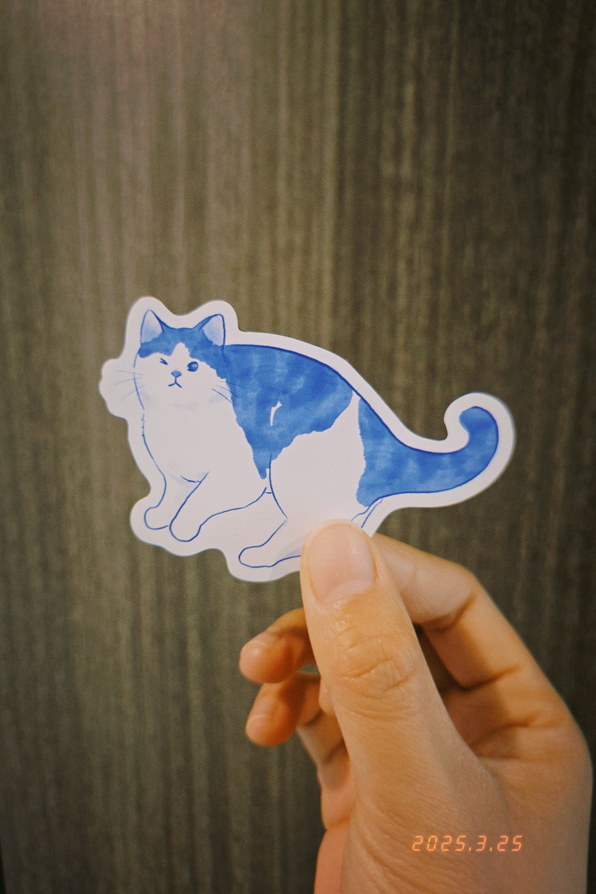 Chunky Kitten Magnet