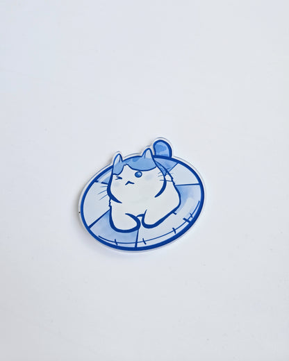 Swim Magnet
